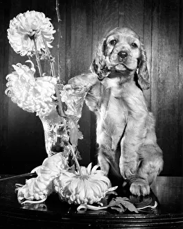 Untidy: Susi - with a rearranged vase of flowers
