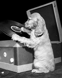 Gramophone: Susi - with record player