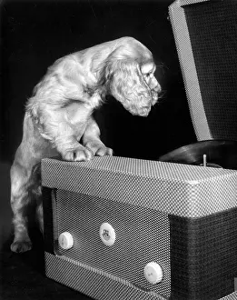 Knob: Susi - with record player