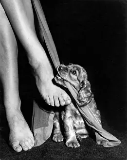 Mischief: Susi - ruining Mum's stockings