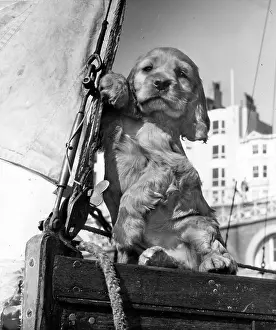 Susi: Susi - on a sailing boat