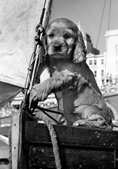 Susi: Susi - on a sailing boat