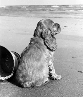 Gazing: Susi - at the seaside