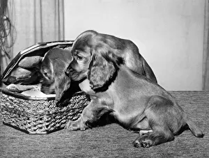 Wickerwork: Susi - with sewing basket