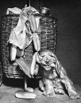 Wickerwork: Susi - with shopping basket