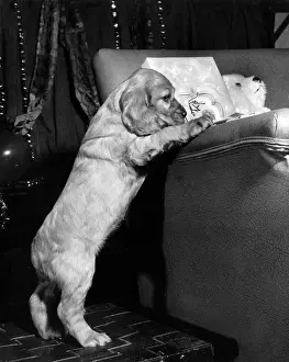 Wrapped: Susi - at the side of a sofa