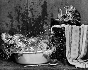 Splash: Susi - splashing about in a plastic bowl