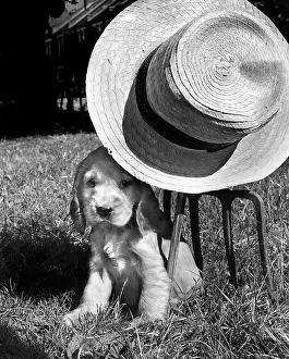 Fork: Susi - with straw hat and gardening tools