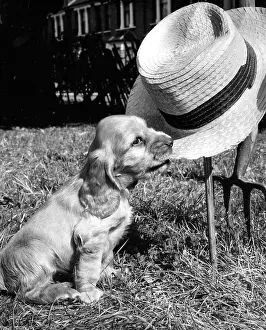 Suzy: Susi - with straw hat and gardening tools