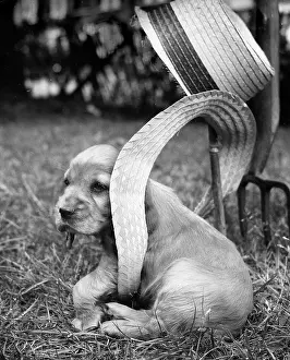 Suzy: Susi - with straw hat and gardening tools