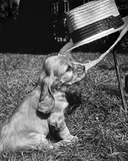 Detached: Susi - with straw hat and gardening tools