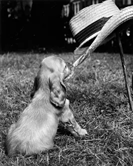 Detached: Susi - with straw hat and gardening tools