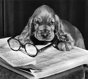 Pages: Susi - with telephone directory and glasses