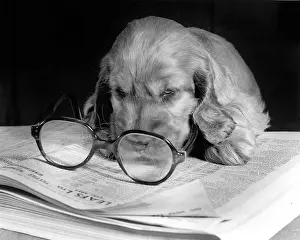 Pages: Susi - with telephone directory and glasses