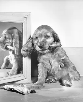 Mirrors: Susi - with toothbrush and toothpaste