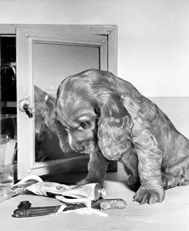 Mirrors: Susi - with toothbrush and toothpaste