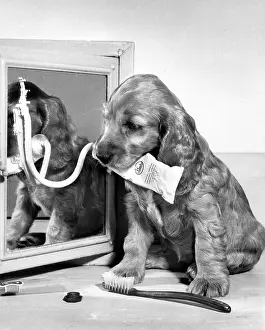 Mirrors: Susi - with toothbrush and toothpaste