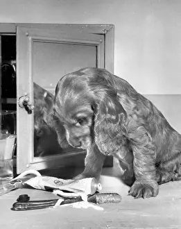 Mirrors: Susi - with toothbrush and toothpaste