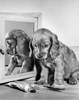 Mirrors: Susi - with toothbrush and toothpaste