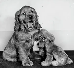 Replica: Susi - with toy spaniel