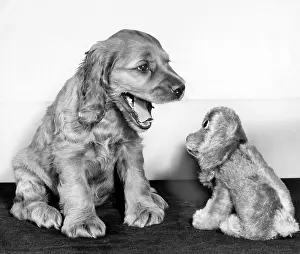 Replica: Susi - with toy spaniel