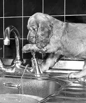 Tiled: Susi - turning on a tap