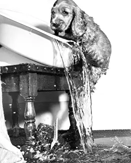 Pour: Susi - upsetting a basin of water