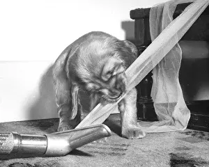 Pull: Susi - with vacuum cleaner and stocking