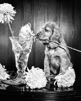 Arrangement: Susi - with a vase of flowers