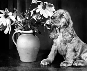 Arrangement: Susi - with a vase of flowers