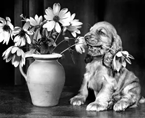 Arrangement: Susi - with a vase of flowers