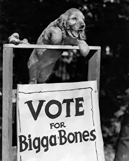 Bigger: Susi - Vote for Bigga Bones
