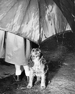 Raining: Susi - walking in the rain