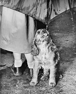Raining: Susi - walking in the rain