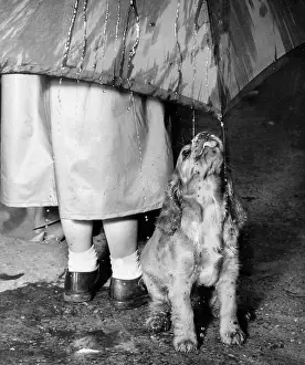Raining: Susi - walking in the rain