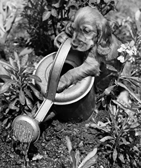 Watering: Susi - with watering can
