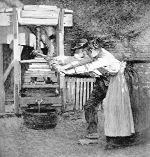 Cider: SUSSEX CIDER PRESS
