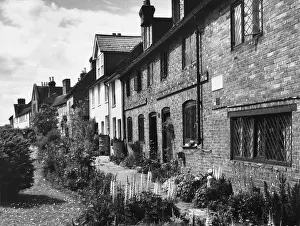 Lupins: SUSSEX COTTAGES