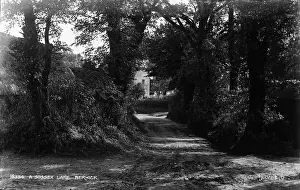 Rustic: A Sussex Lane, Berwick