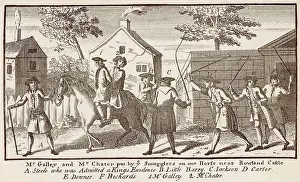 Whipped: SUSSEX SMUGGLERS/C18TH