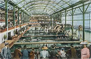 Sutro: SUTRO BATHS, USA C1905