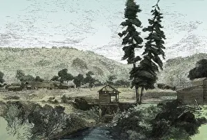 Colonizer: Sutter's Mill, 1851
