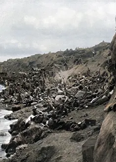 Suvla: Suvla Bay, Gallipoli, WW1