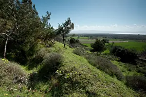 Baba: Suvla Bay - Lala Baba Hill
