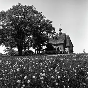 Dynin: Suzdal views, 1983