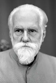Roerich: Svetoslav Roerich, 1982