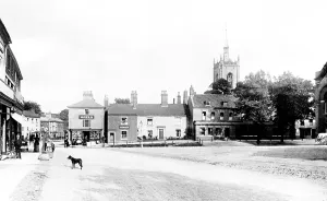 Swaffham: Swaffham, Market Place 1891