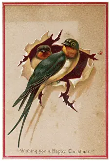 Rustica: TWO SWALLOWS