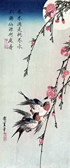 Martins: Swallows with Peach Blossoms and Full Moon, 1850s