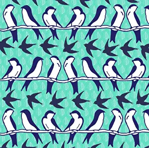 Swallow: Swallows and swifts